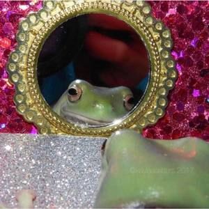 Meet your Posher, Chelsea